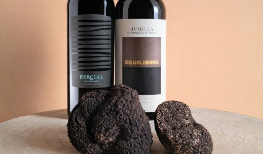 Primer plano de trufa negra fresca junto a copas de vino tinto en Finca Calderón durante el evento de trufiturismo.