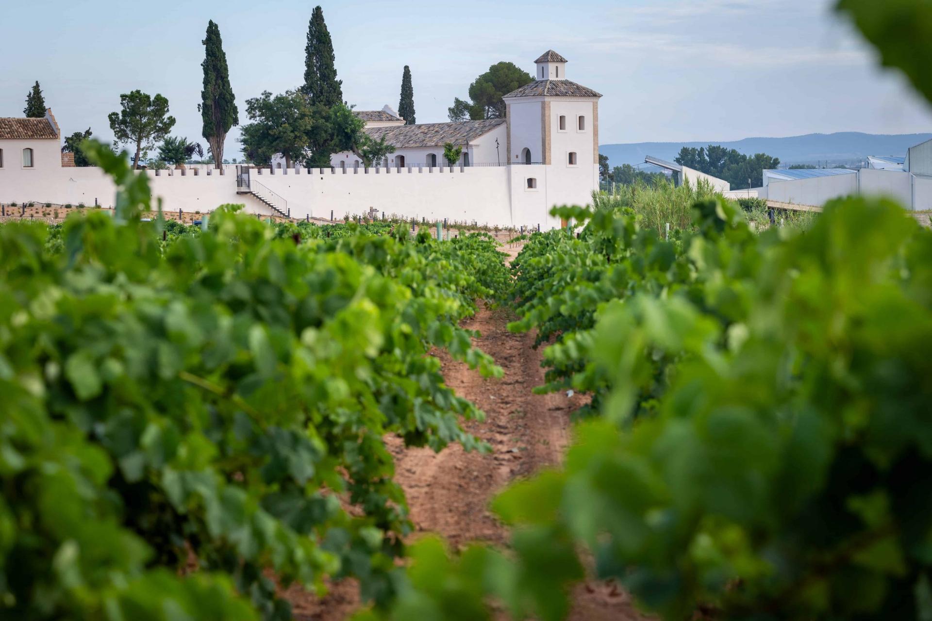 Paisaje de viñedos en primer plano con el edificio histórico de Finca Calderón Enoresort al fondo, un destino referente del turismo enológico en Valencia.