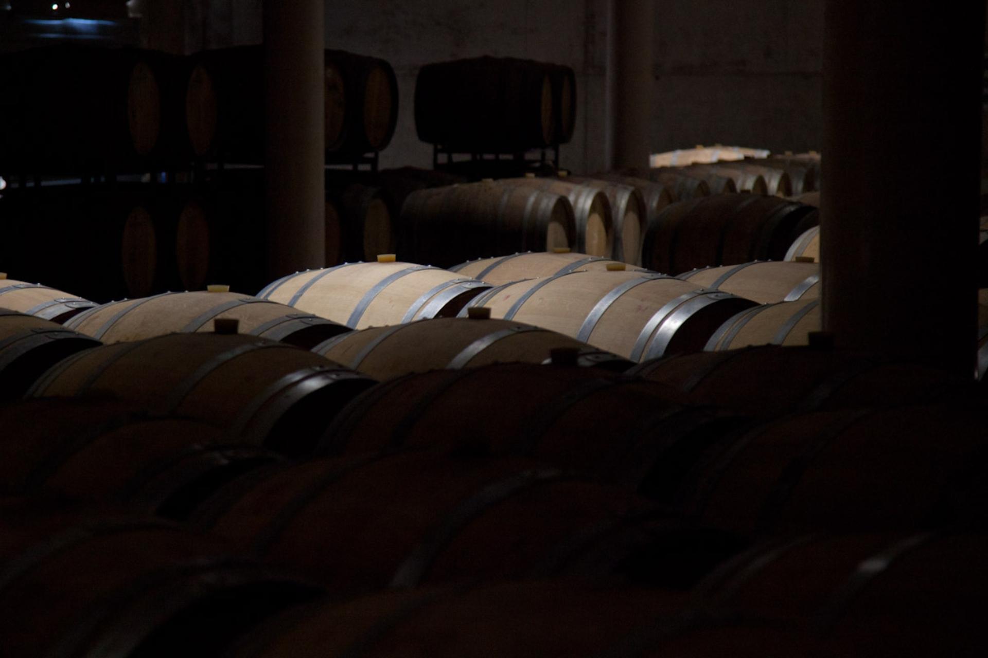 Sala de barricas de roble en el interior de la bodega, espacio destinado a visitas guiadas y envejecimiento de vinos en Finca Calderón.