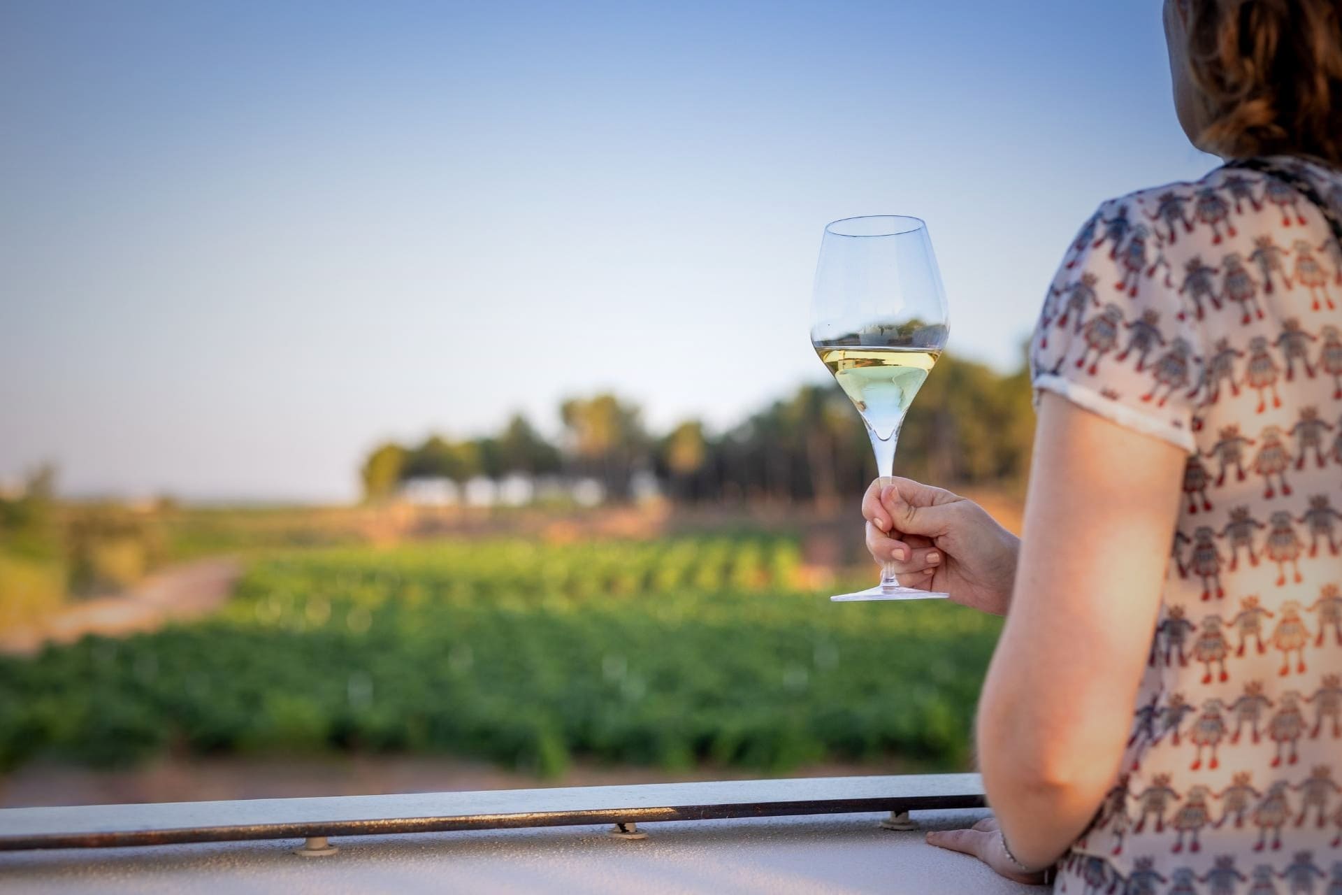 Una persona disfrutando de una copa de vino blanco con vistas a los extensos viñedos de Finca Calderón Enoresort durante una escapada de turismo rural.