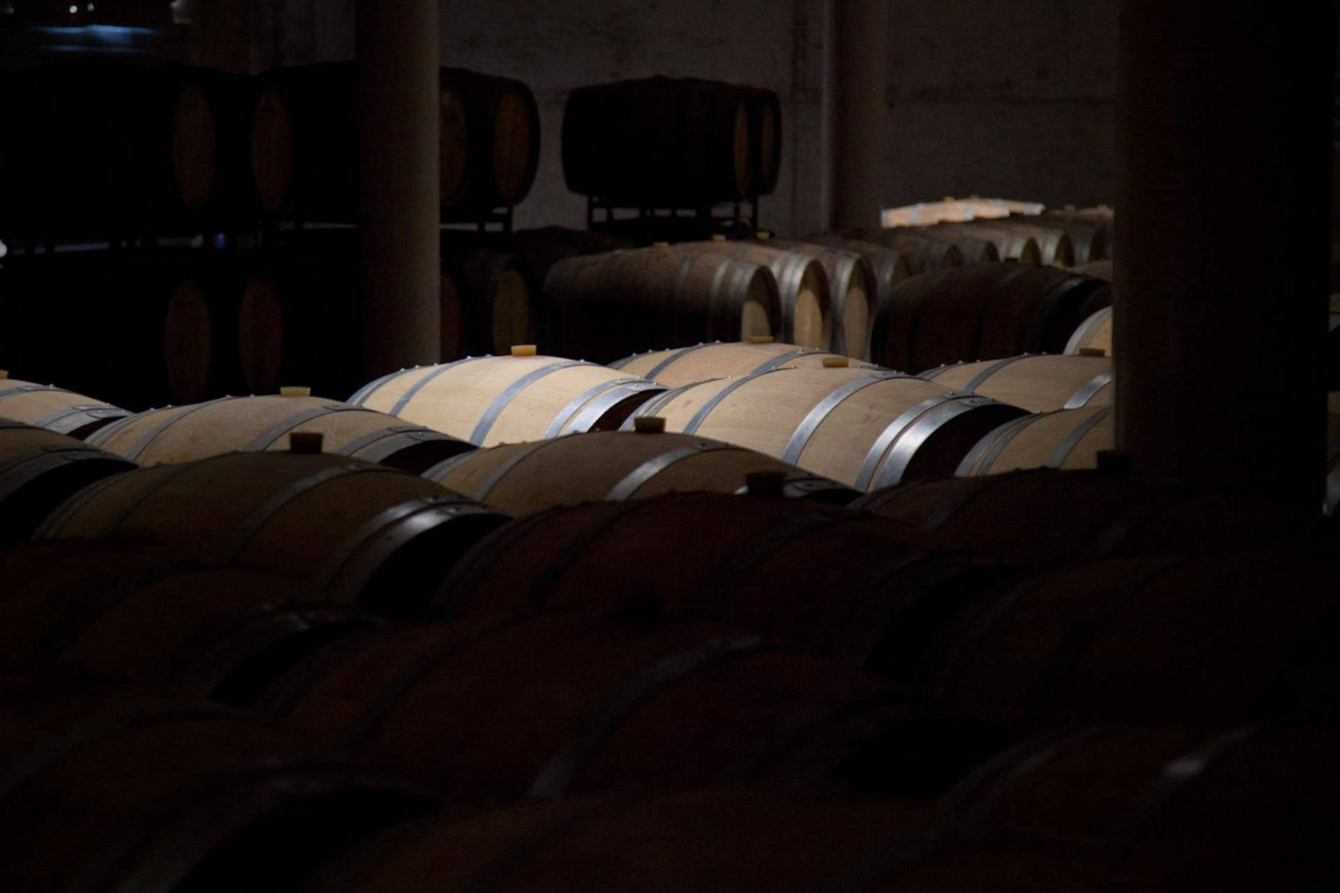 Sala de barricas de roble en el interior de la bodega, espacio destinado a visitas guiadas y envejecimiento de vinos en Finca Calderón.