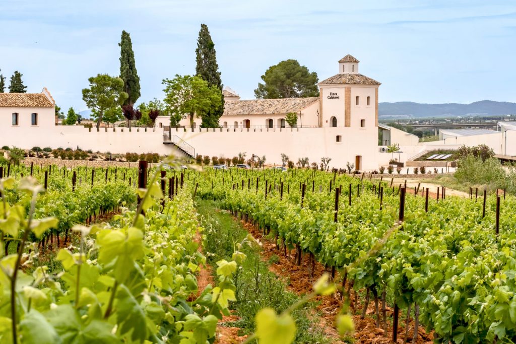 vista desde el viñedo de finca calderón enoresort en requena
