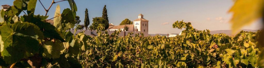 Finca Calderón Enoresort contact details and wine tourism experiences inquiry.