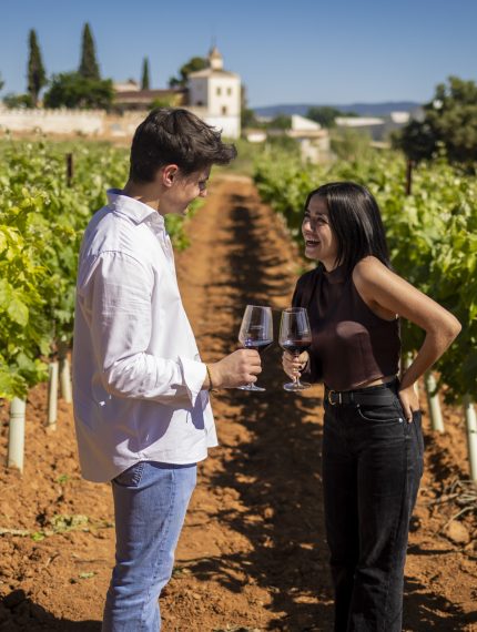 Guided tour of the bioclimatic winery at Finca Calderón, featuring a tasting of three wines paired with local artisanal gastronomy.