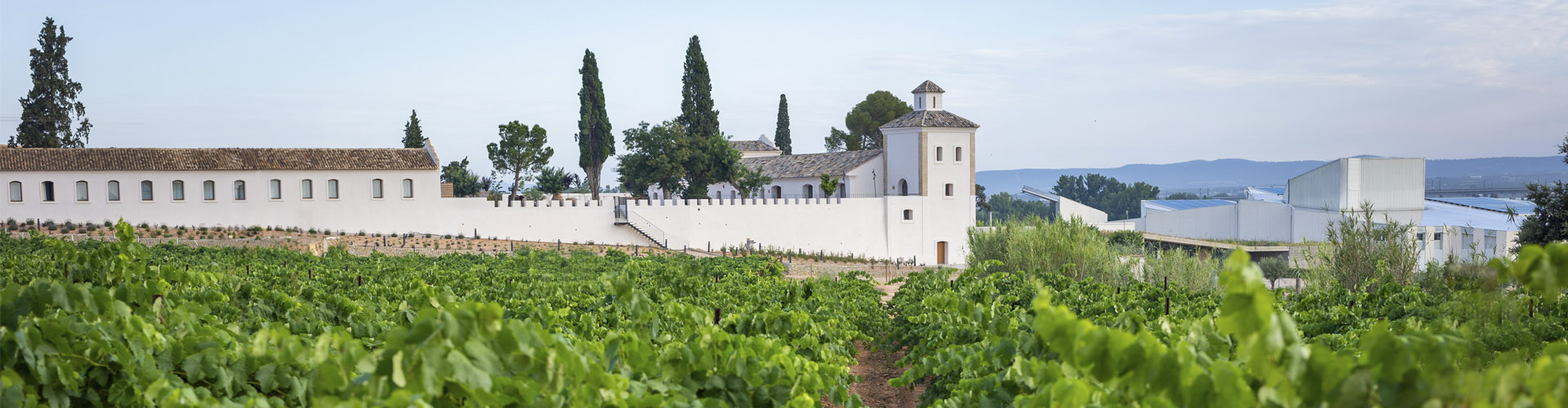 Panoramic view of Finca Calderón Enoresort surrounded by lush vineyards, highlighting the sustainable winery and natural landscape in Requena, Valencia.