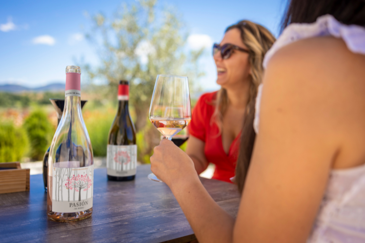 Guests participating in a guided wine tasting and food pairing session at Finca Calderón Enoresort, showcasing local artisan products and wines.