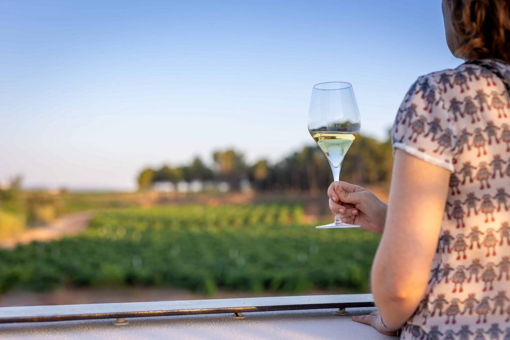 A woman enjoying a guided tour and wine tasting with a welcome glass of wine at Finca Calderón Enoresort, featuring a wooden board with artisan cured meats and cheeses.