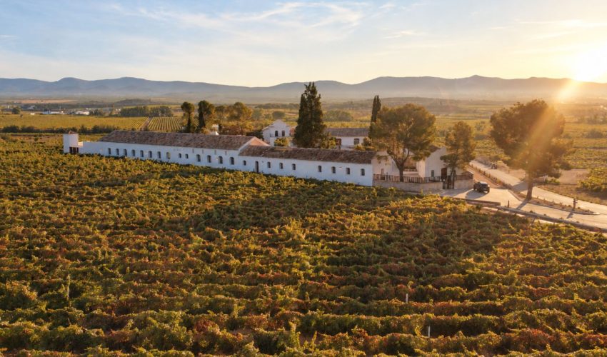 Cuarteto Sorolla performing Hans Zimmer and John Williams movie soundtracks in the Finca Calderón vineyard